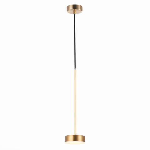 Светильник подвесной ST Luce Pances SL6000.303.01