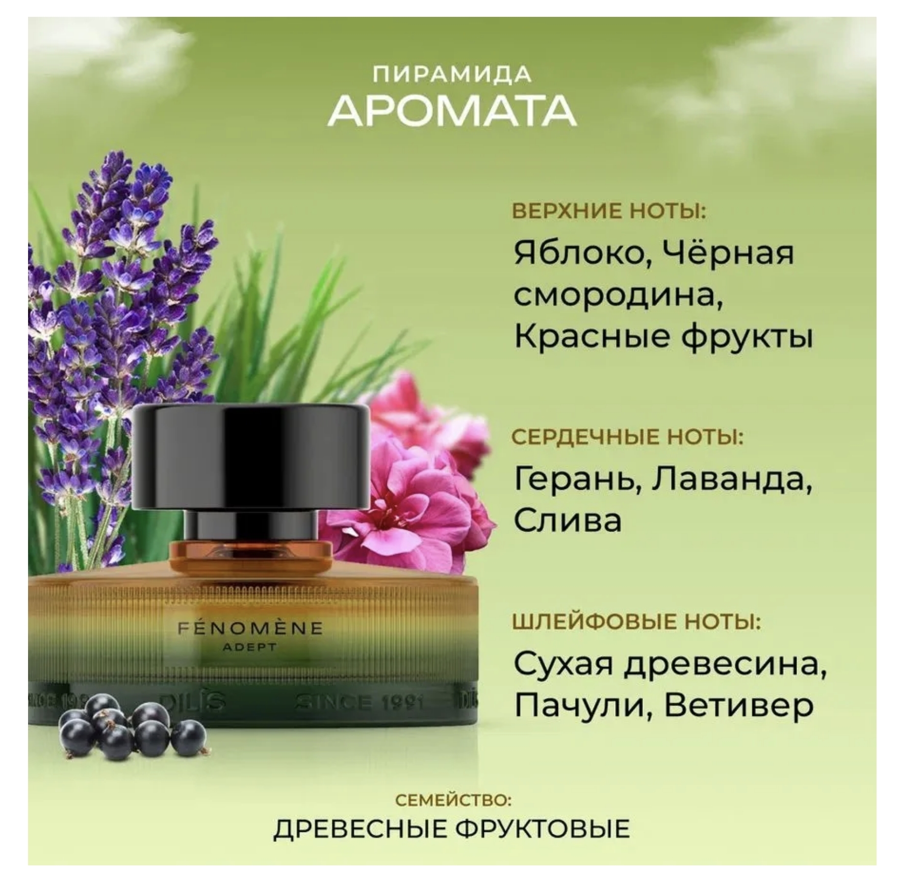 Dilis fenomene Dilis fenomene
