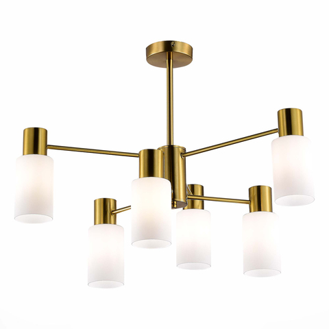 Светильник потолочный Evoluce Gessi SLE1139-302-06