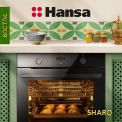 Духовой шкаф Hansa BakingPro BOES684097