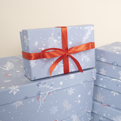 Коробка одиночная, Прямоугольник, Морозное утро, 25*16,5*10 см, 1 шт.