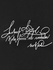 Футболка из премиального хлопка с авторским принтом  D49.110 (127888)