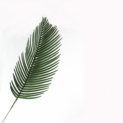 №2 Пальма, искусственная зелень, высококачественный пластик, 47 см, набор 5 шт, цвет насыщенный зеленый