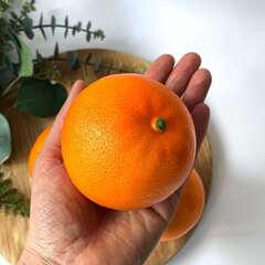 Апельсины крупные, Фрукты декоративные, муляжи, 7,5 см, набор 3 штуки.