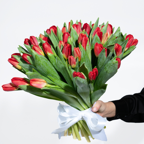 Букет 51 красный тюльпан