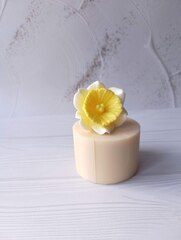Силиконовая форма 
