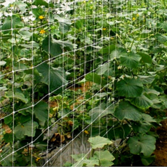 Сетка шпалерная для огурцов и вьющихся растений 5 метров