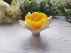 Силиконовая форма 
