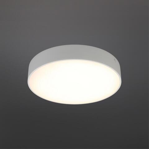 Потолочный светодиодный светильник Aployt Evon APL.0113.09.24