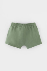 трусы/ уп  для мальчика  К 1912-2уп/папоротник,темно-бежевый