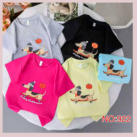 Футболка хлопок д (1-5) 260429-ZG1584