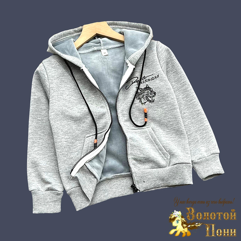 Толстовка на меху (4-8) 240819-F7176
