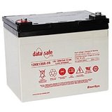 Аккумулятор EnerSys DataSafe 12HX135 ( 12V 28Ah / 12В 28Ач ) - фотография