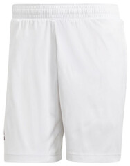 Шорты теннисные Adidas Match Code Short 7 - white/night metallic