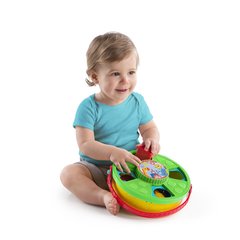 Bright Starts Развивающая игрушка 4 в 1 