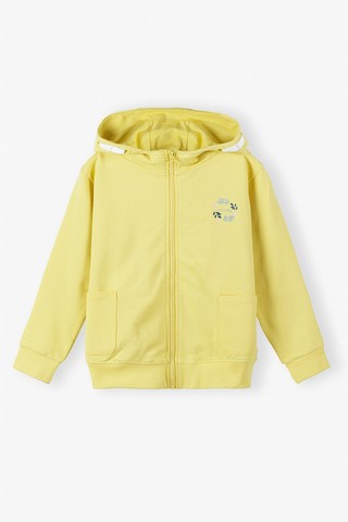 Толстовка для девочек LINCOLN & SHARKS