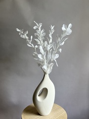 Рускус садовый стабилизированный белый