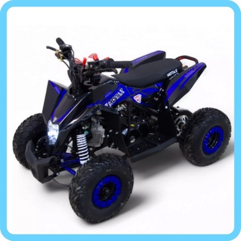 Детский бензиновый квадроцикл Motax Gekkon 90сс 1+1 (Реверс)