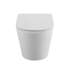 BelBagno BB053CHR/SC FLAY-R Унитаз подвесной безободковый с сиденьем дюропласт soft close, BB053CHR/SC