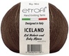 Пряжа Etrofil Iceland 70708 (Орех)