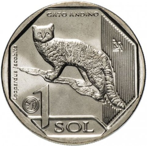1 соль 2019 - Андская кошка (серия Красная книга Перу).