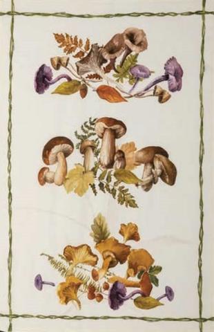 Полотенце кухонное 50x70 Tessitura Toscana Telerie Rigoletto Verde