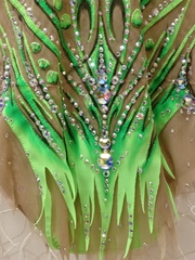 Купальник для выступлений.