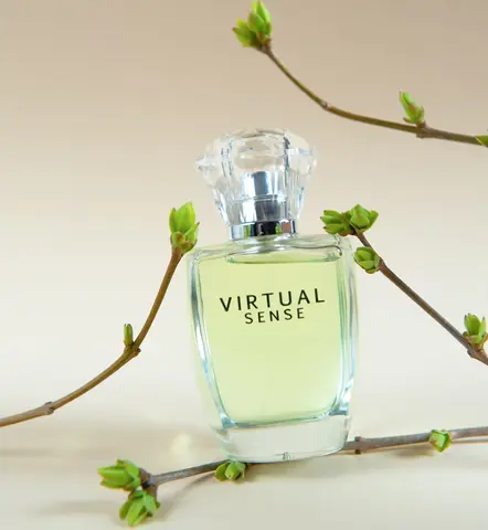 Dilis LA VIE (La Ville) Туалетная вода д/жен VIRTUAL SENSE (Versense by Versace) (488) 100мл