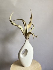 Листья стрелиции натуральные