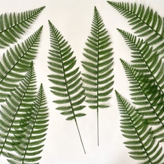 Папоротник, зелень искусственная, 56 см., набор 10 веток.