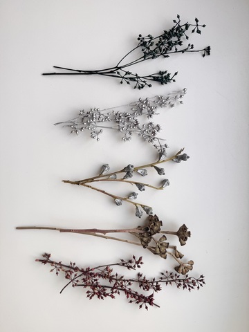 Набор для творчества плоды «Декор природными материалами» (12-18см)