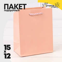 
          Пакет подарочный 12х15х7см Фигуры и узоры "Фактура" (Розовый)