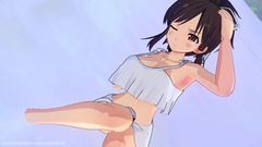 Neptunia x SENRAN KAGURA: Ninja Wars (для ПК, цифровой код доступа)