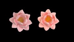 Силиконовый молд Лотос