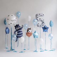 Сет из гелиевых шаров Кот Матроскин