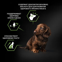 Pro Plan сухой корм для щенков мелких пород (курица, рис) 700 г