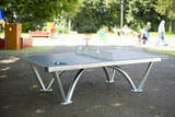 Теннисный стол Cornilleau всепогодный антивандальный PARK  grey 9мм фото №0