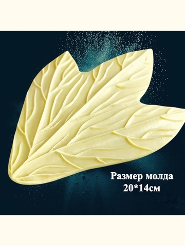 Молд 