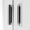 Radaway 10260120-01-01 Душевая дверь Alienta DWJ 120