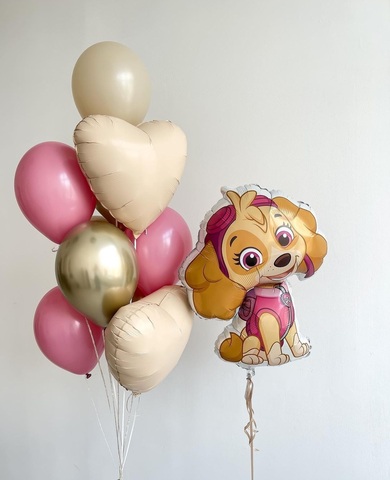 Воздушные шары Скай щенячий патруль день рождения девочки в Новосибирске от Wonderball - project.
