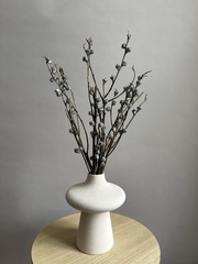 Эвкалипт коробочки