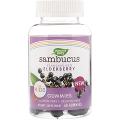 Nature's Way, Sambucus, стандартизированный экстракт бузины для детей, 60 жевательных таблеток