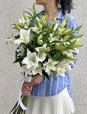 ლილიები