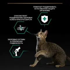 Pro Plan пауч для взрослых кошек с говядиной в соусе 85г