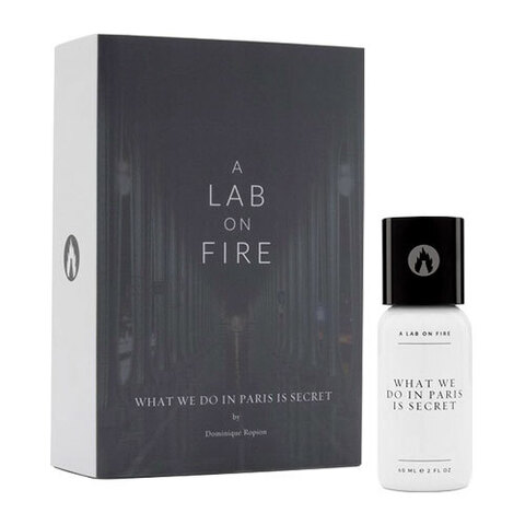A Lab on Fire What We Do In Paris Is Secret edp