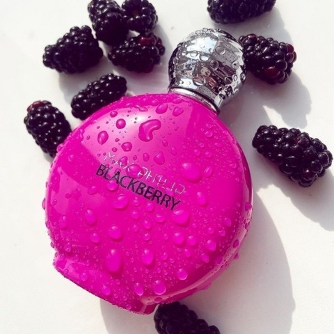 Max Philip Blackberry