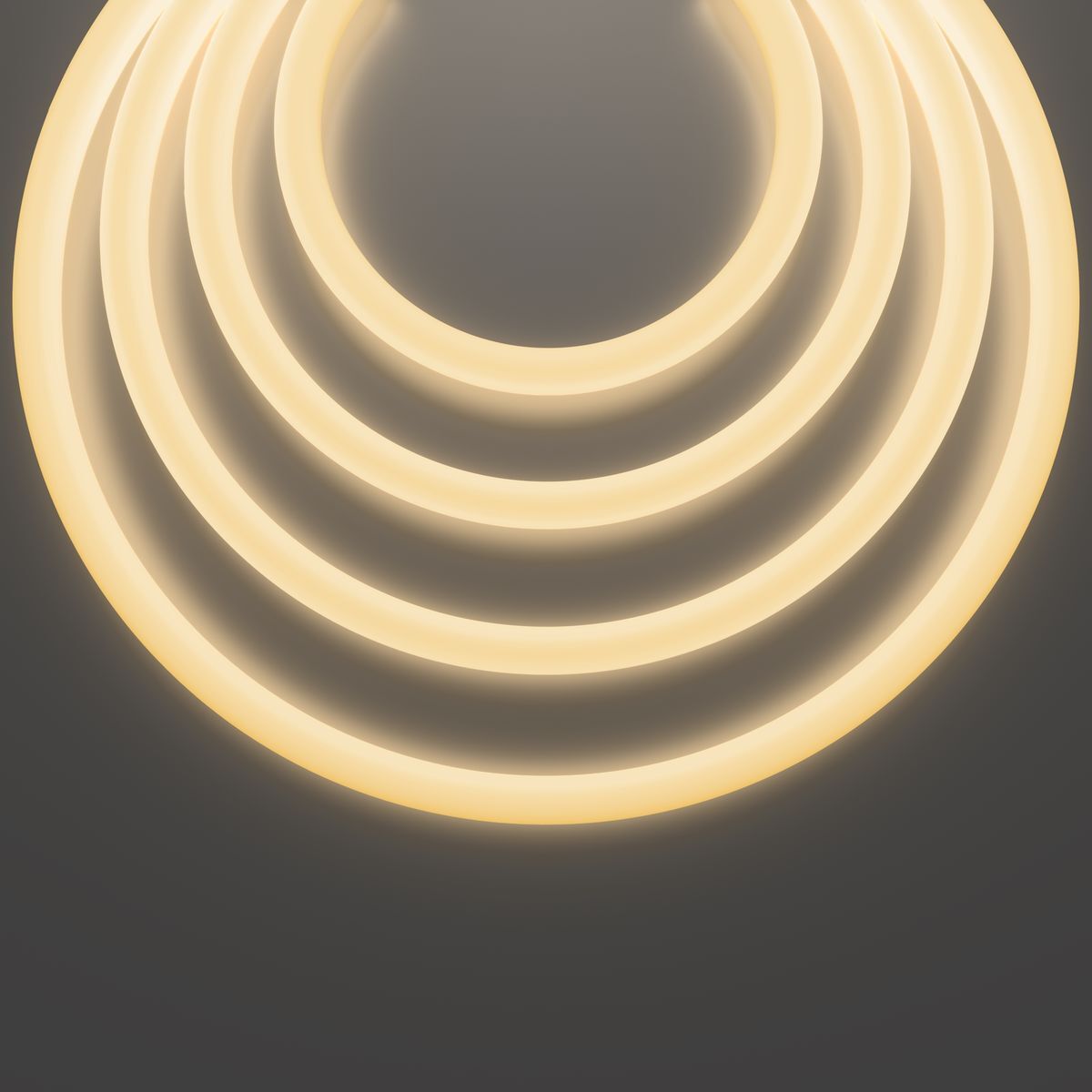 Гибкий неон Maytoni 20W/m 2835SMD теплый белый 5M 20306