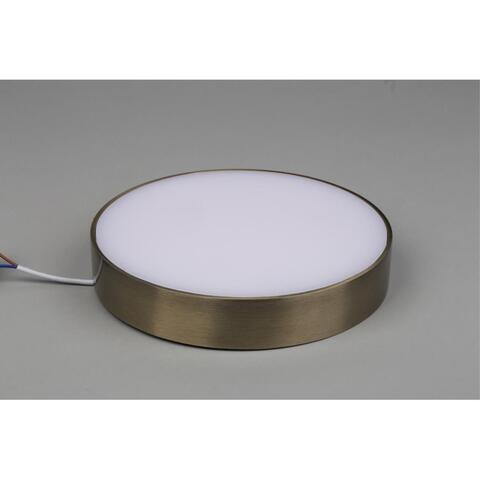 Потолочный светодиодный светильник Aployt Evon APL.0114.29.24