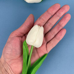 Тюльпаны искусственные для декора, реалистичные как живые, Молочные, латексные (силиконовые), 34 см, букет из 5 штук.