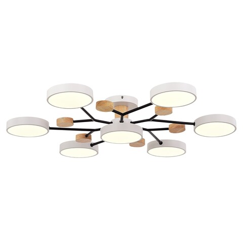 Светильник потолочный Evoluce Faema SLE6006-502-07